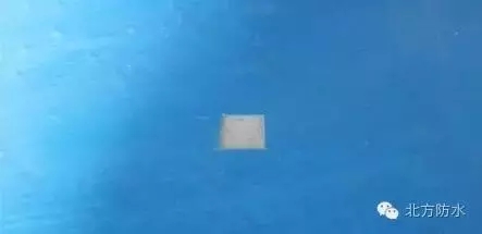 1475196298177290FD86.jpg 640.webp (2).jpg